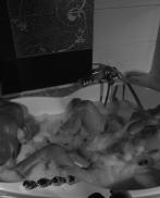 Проститутка Подружки VIP